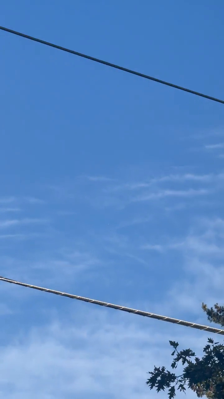 A representative frame from the middle of the clip, at native scale, after the camera has panned up to open sky. The object is present in the frame at this point and stands a mean 83 grey levels above the local sky, but at the resolution of the circulating copy it is a few pixels across and carries no shape. It is reproduced here without enlargement because no enlargement could be verified as showing the object rather than foliage.