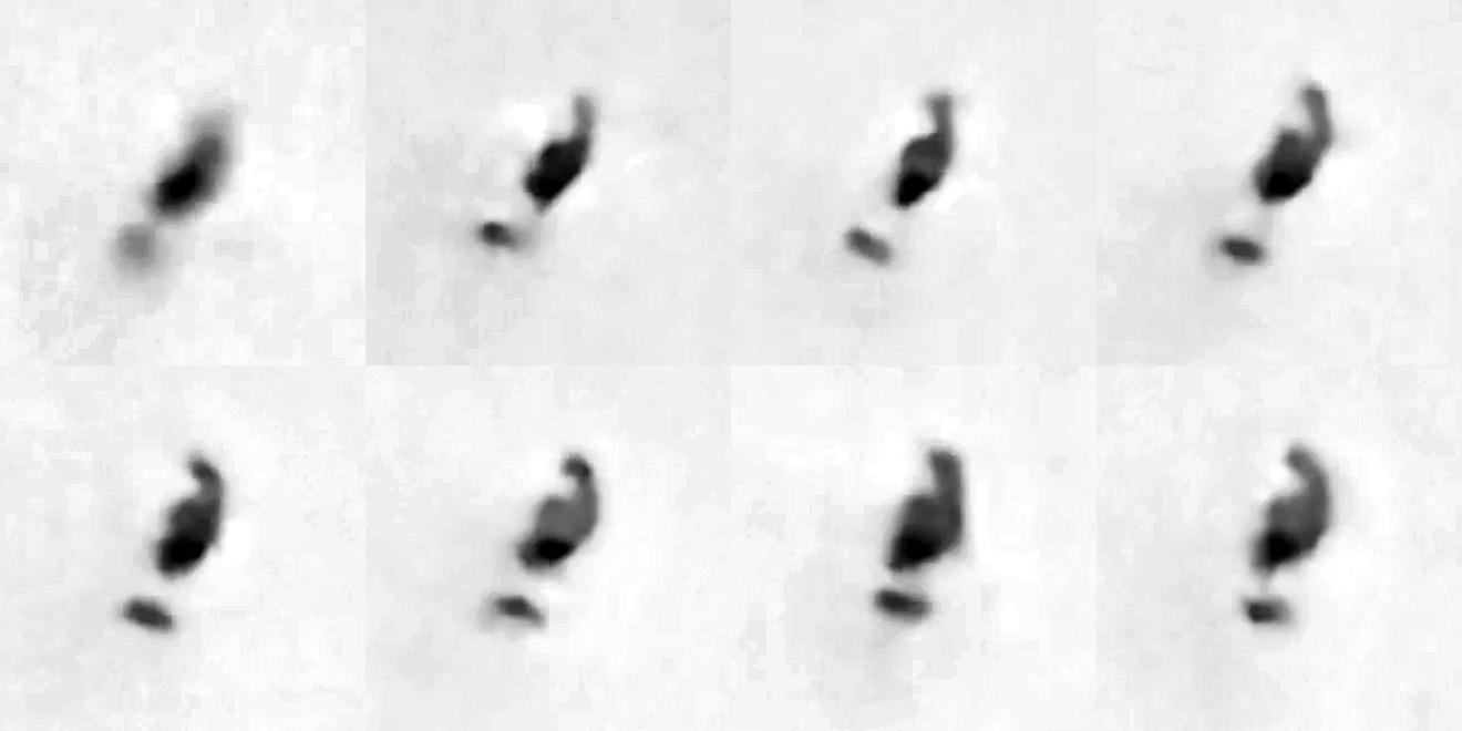 Eight samples spread across the whole 14 second recording, each cropped at native resolution on the object and contrast stretched by the same amount. The smaller dark lobe stays below the larger hooked mass and offset to one side in every frame while the pair rotates slowly. The two parts never separate and their spacing never changes, which is what a physically connected assembly does and what two independently flying objects do not.