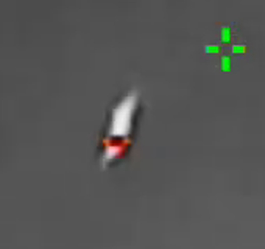 The object magnified five times from the same frame. The form is tapered and uneven along its length with one intensely hot point at the end, and no structure is resolvable beyond that. This is the appearance that the sighting form recorded as no wings and no rotors, and it is also the appearance a bird produces on a low resolution thermal sensor at high digital zoom.