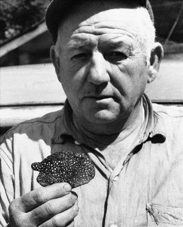 Black and white press photograph of Joe Simonton, the Eagle River, Wisconsin plumber and chicken farmer, holding one of the small perforated "pancakes" he said three occupants of a landed silvery craft handed him on the morning of 18 April 1961. This is a genuine 1961 newspaper photograph, not a recreation or render.