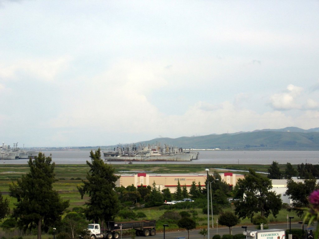 Suisun Bay in Contra Costa County, California, on whose south shore the open field lay where three teenagers reported a landed craft in May 1977. No photograph of the object exists, so this is a locator of the setting.