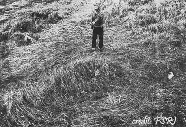 Contemporary photograph of farmer Edwin Fuhr at the site of the flattened-grass rings on his land near Langenburg, Saskatchewan, after the 1 September 1974 encounter. This is a real period photograph of the physical trace, not a recreation or render.