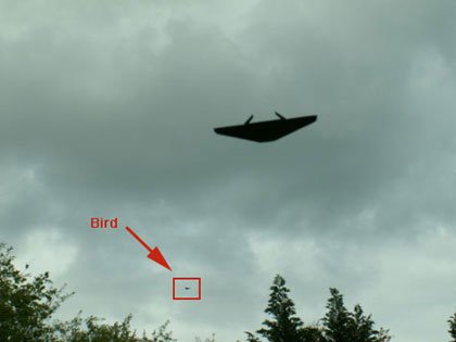 The same object in the frame circulated as the "black manta," with a bird marked for scale by a community analyst.