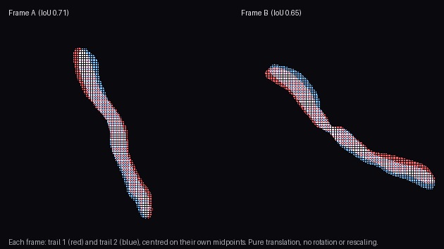 The congruence test. In each published frame the two light trails were isolated by luminance threshold, centred on their own midpoints, and overlaid with nothing but translation applied, trail one in red and trail two in blue. Where they coincide the colours add to white. Frame A superimposes at an intersection over union of 0.71 and frame B at 0.65, against rotated controls of 0.05 to 0.09. Two independently moving lights cannot trace the same curve; one shaking camera writes that curve onto every point source in the frame.