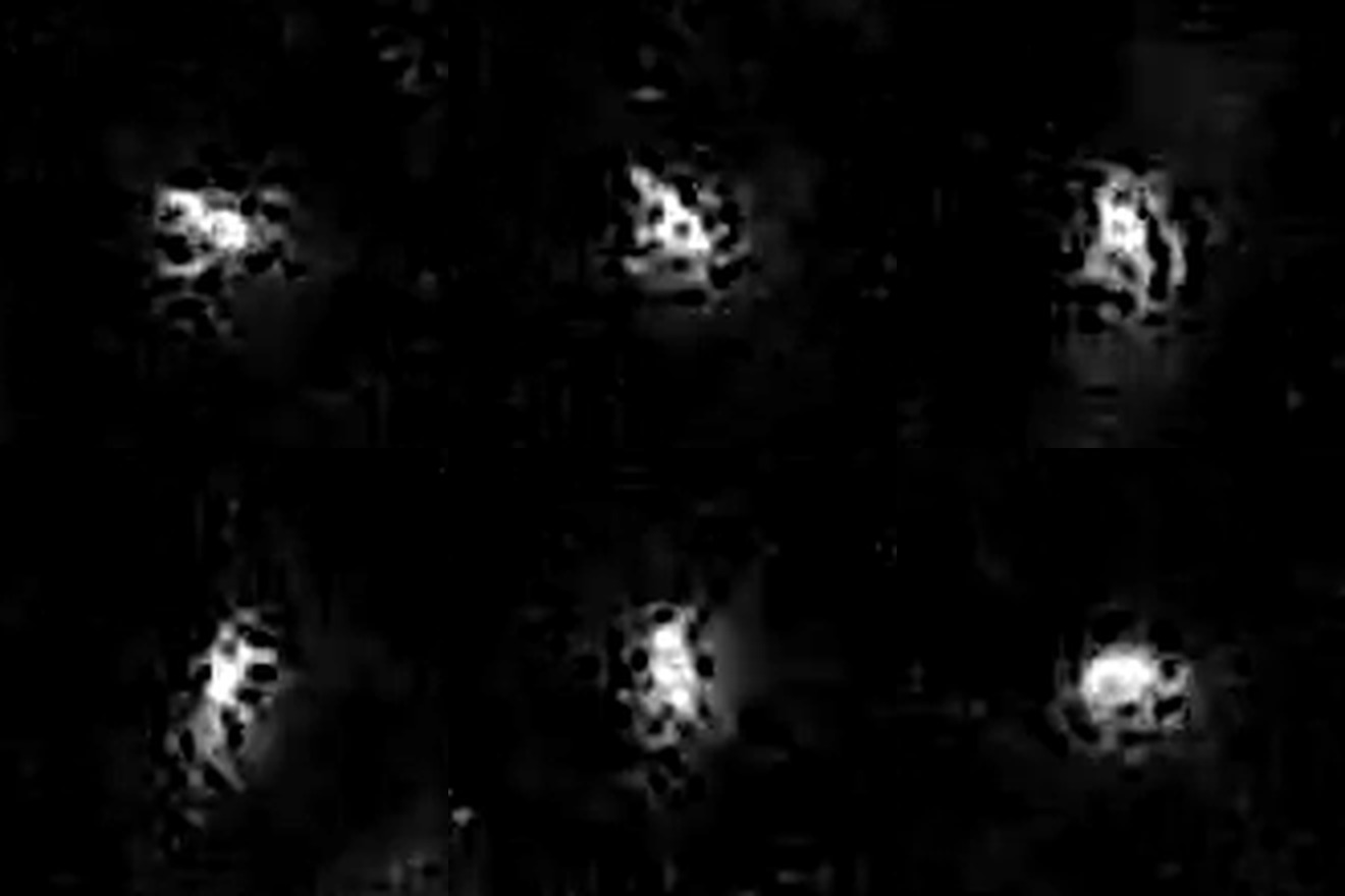 Six samples taken along the object’s track through the frame, each cropped at native resolution on the object and stretched by the same amount. The camera is static throughout this interval, confirmed by frame to frame registration returning a shift of zero pixels with a steady correlation peak, so the movement between panels is the object’s own. The outline varies between panels rather than holding a fixed rigid shape, though compression artefacts in a dark scene can imitate that, which is why no positive shape claim is made from it.