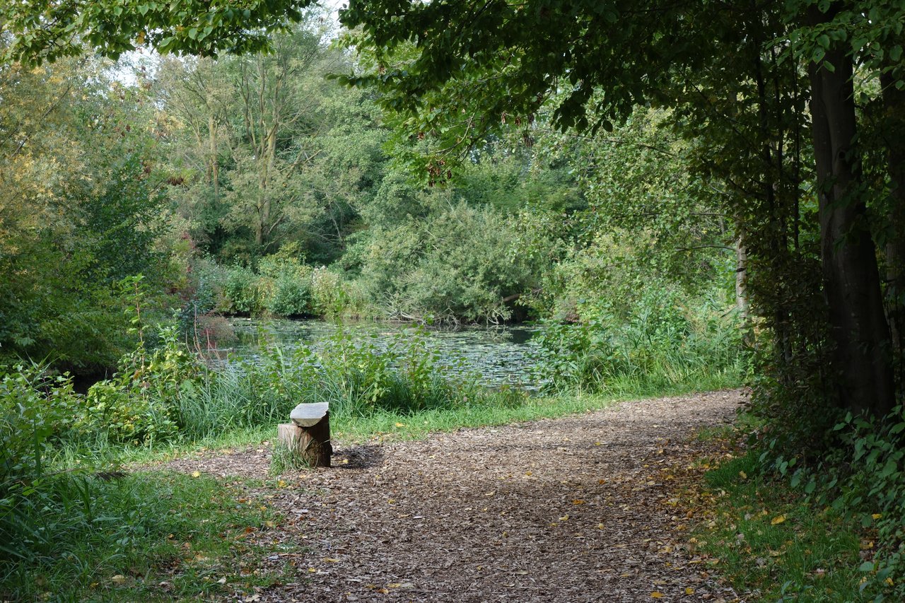 The Emsaue riverside landscape in Rheda-Wiedenbrück, the town where the anonymous witness was said to live and a short distance from the Linteler See, the sand-extraction lake where the claimed 1981 encounter took place. This is a real photograph of the actual locale, not a depiction of the reported object; no authentic photograph or witness sketch of the alleged craft exists.