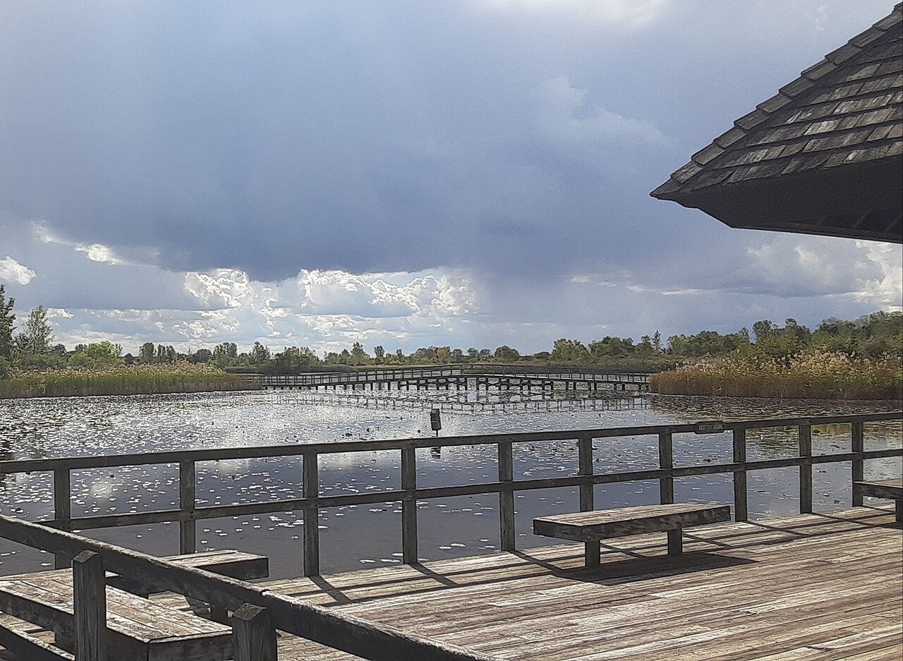 A Michigan marsh of the kind J. Allen Hynek pointed to when he attributed the Dexter and Hillsdale lights to burning swamp gas. This is a representative wetland, not the exact site.