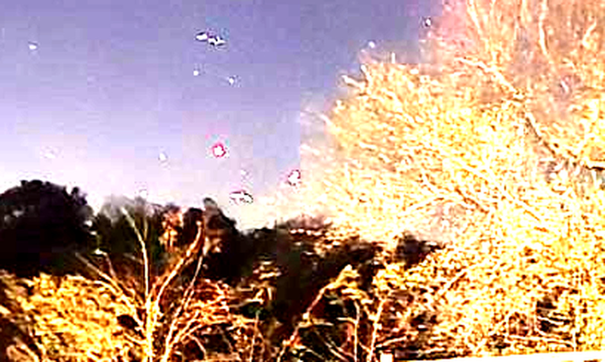 The centre of the frame enlarged and brightened, where the reporter places three red lights in a triangle. Faint marks are present above the treeline, but their measured colour is magenta rather than red dominant, and they sit close to a near saturated floodlit tree.