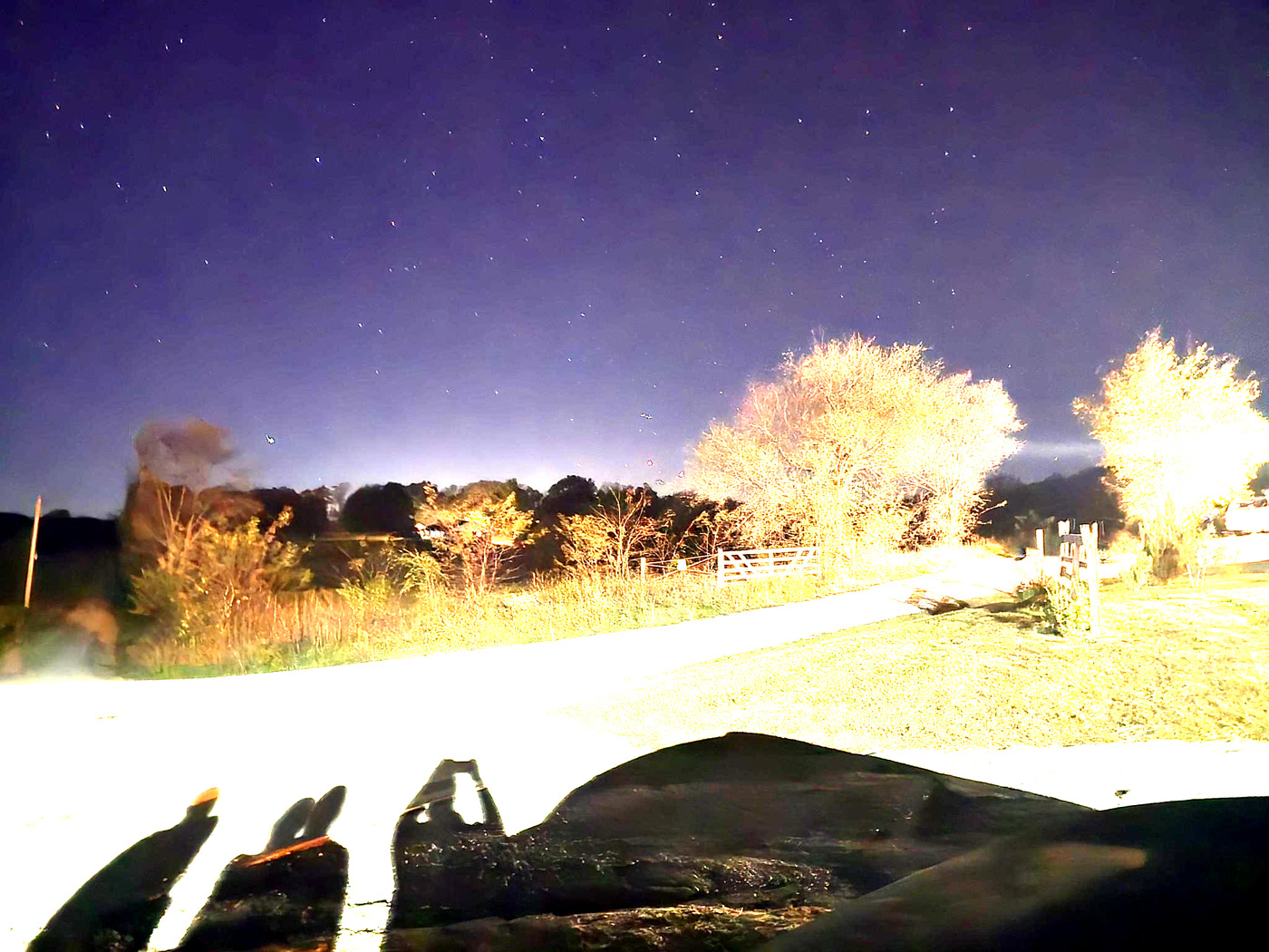 The witness photograph, a handheld exposure of about three seconds, brightened here to show the field. The foreground trees and ground are lit by venue lighting, not by the objects. The reporter places the lights above the treeline left of the brightly lit tree at right.