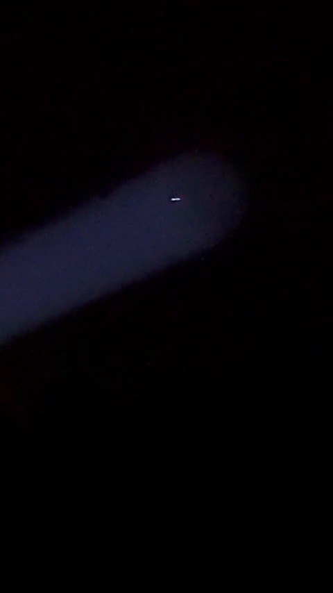 The Rectangular Craft Over a Farm West of Ocala, Florida (13 August 2026)