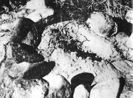 One of the four angular impressions left in the sandy soil at the Socorro landing site, photographed in late April 1964 with rocks piled around it to preserve the mark while investigators worked. FBI Special Agent D. Arthur Byrnes Jr. measured the impressions at roughly sixteen by six inches and about two inches deep, each angled from a center line.