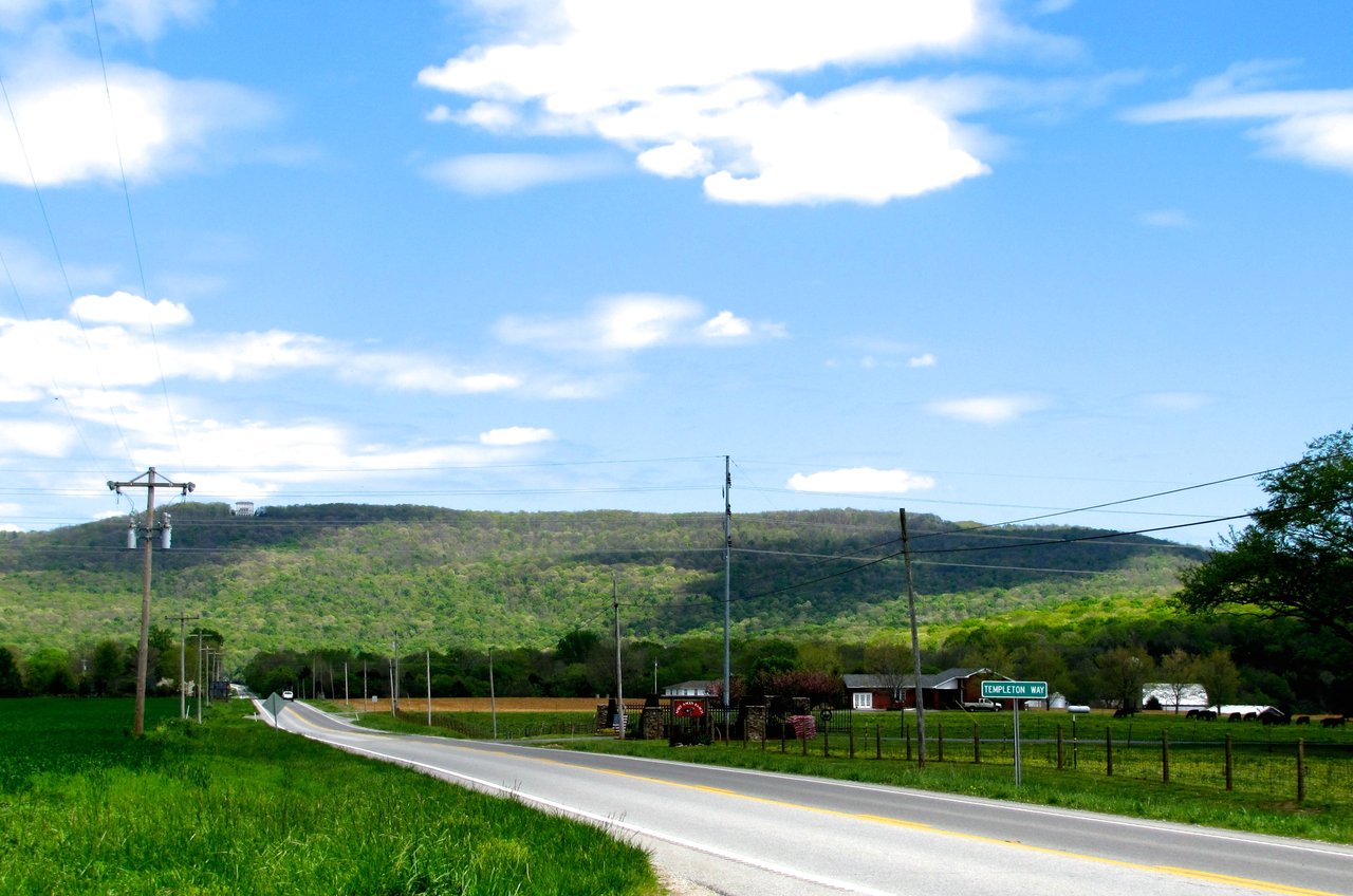 No photograph of the 2004 encounter survives. This is rural Tennessee along US-41A near the Cumberland Plateau, the type of setting reported.